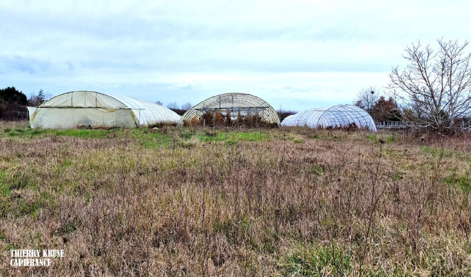 te koop terrein Fronton Haute-Garonne 7