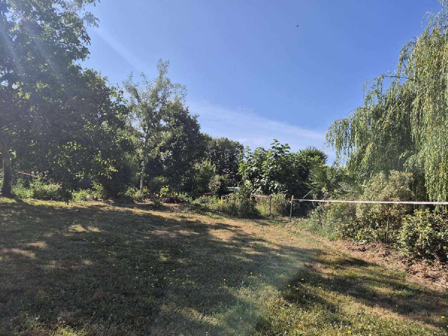  à vendre terrain Grosbreuil Vendée 3
