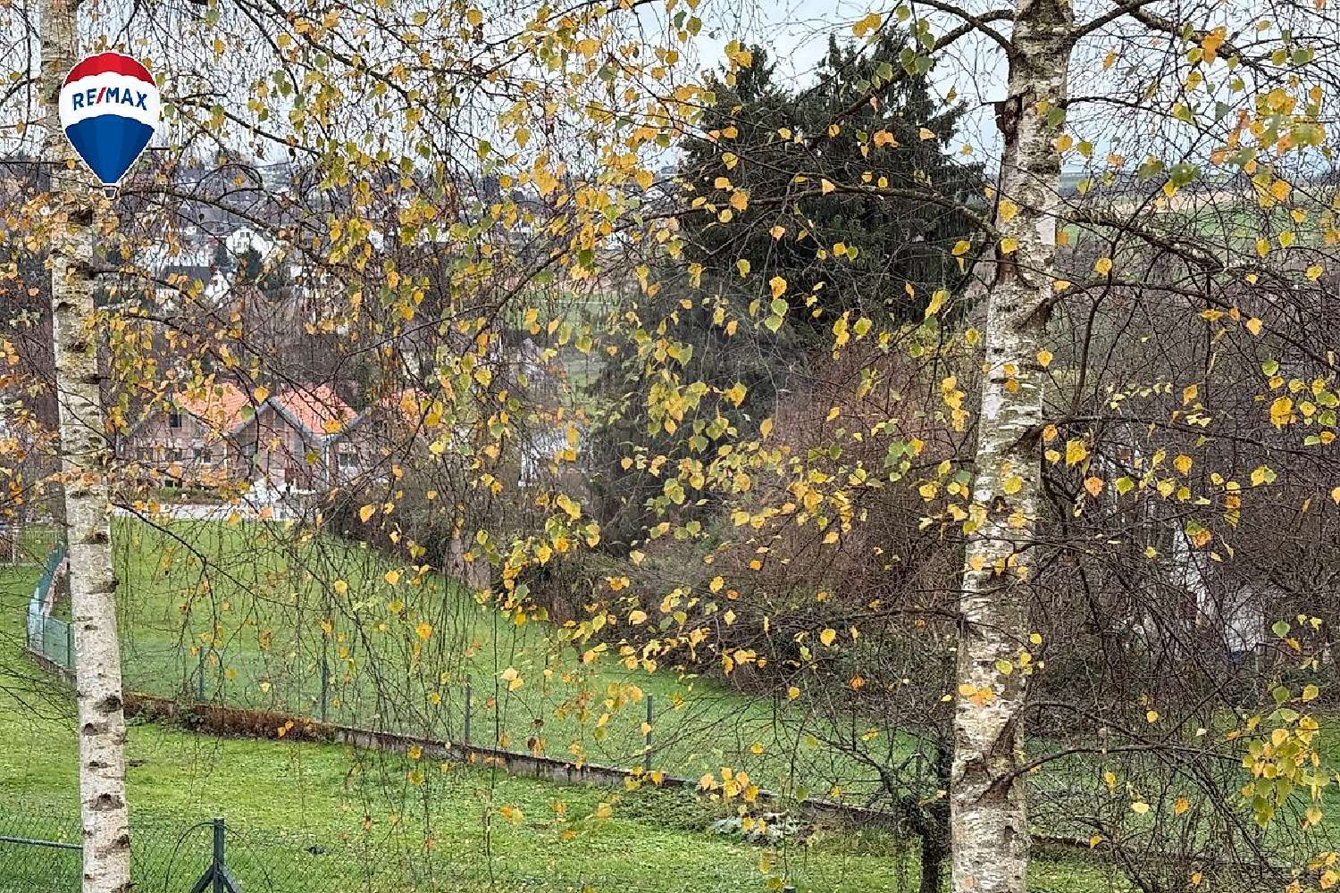  kaufen Grundstück Hagenthal-le-Bas Haut-Rhin 3