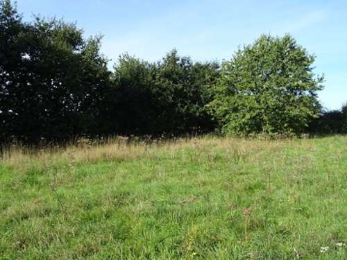 Héricourt-en-Caux Seine-Maritime terrain foto 7273564