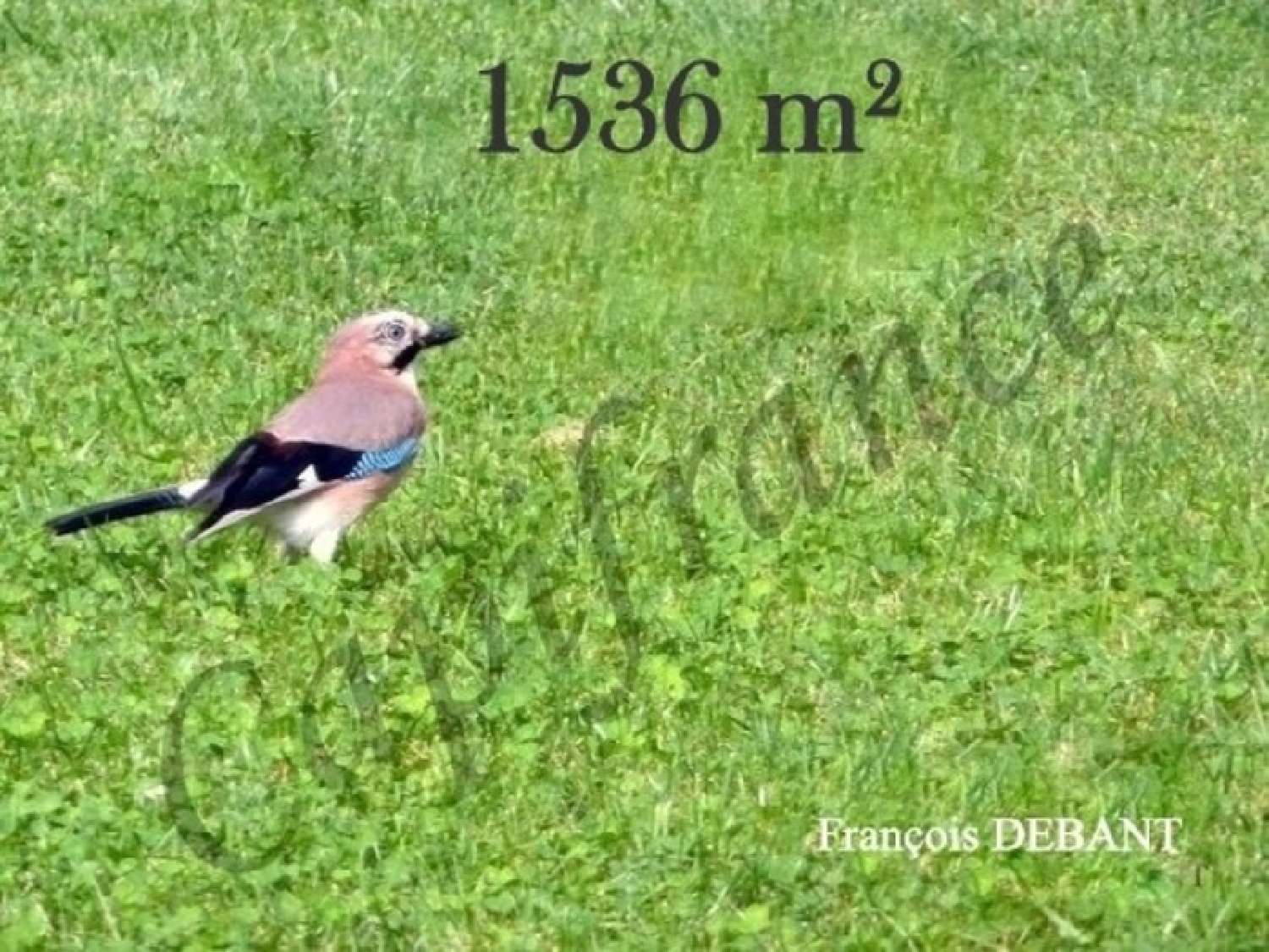  kaufen Grundstück Juniville Ardennes 1