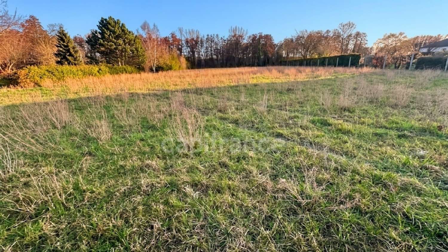  kaufen Grundstück Juniville Ardennes 2