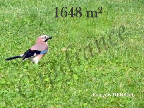 Juniville Ardennes Grundstück Bild 7273170