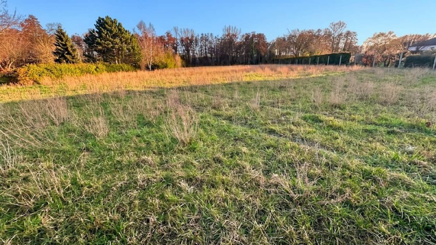  kaufen Grundstück Juniville Ardennes 2