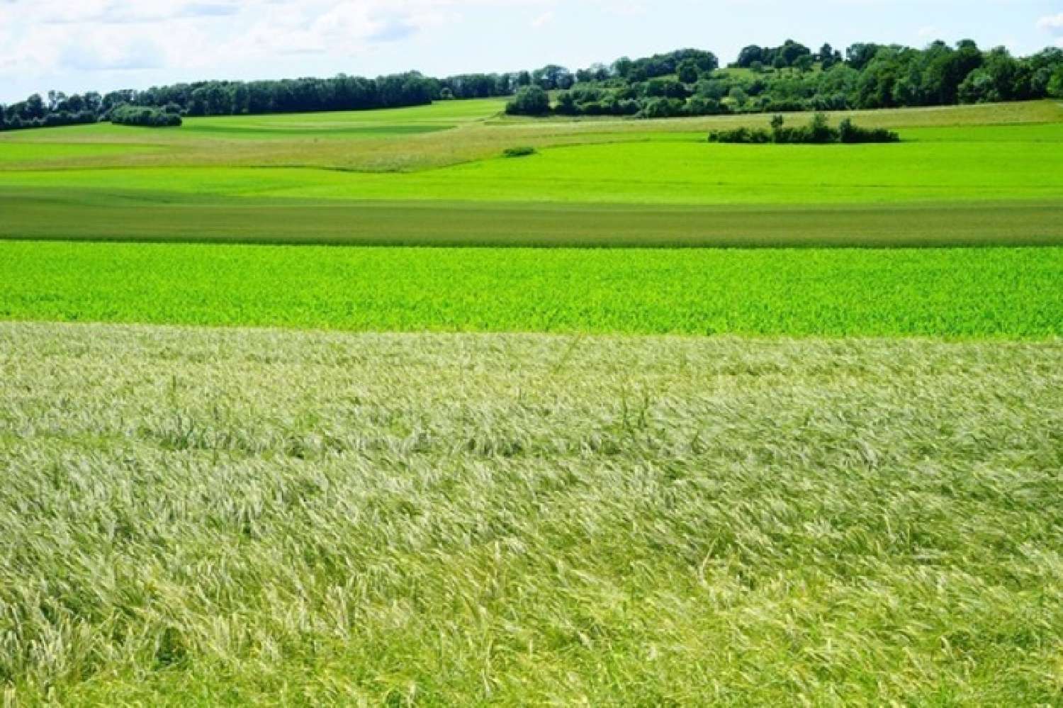  te koop terrein La Frette-sur-Seine Val-d'Oise 1