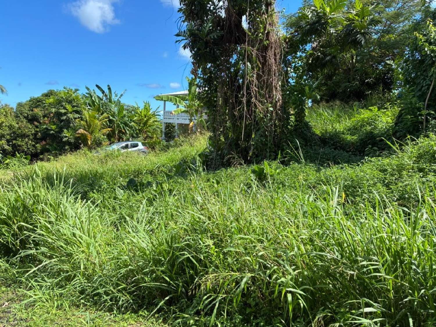  for sale terrain La Trinité Martinique 4