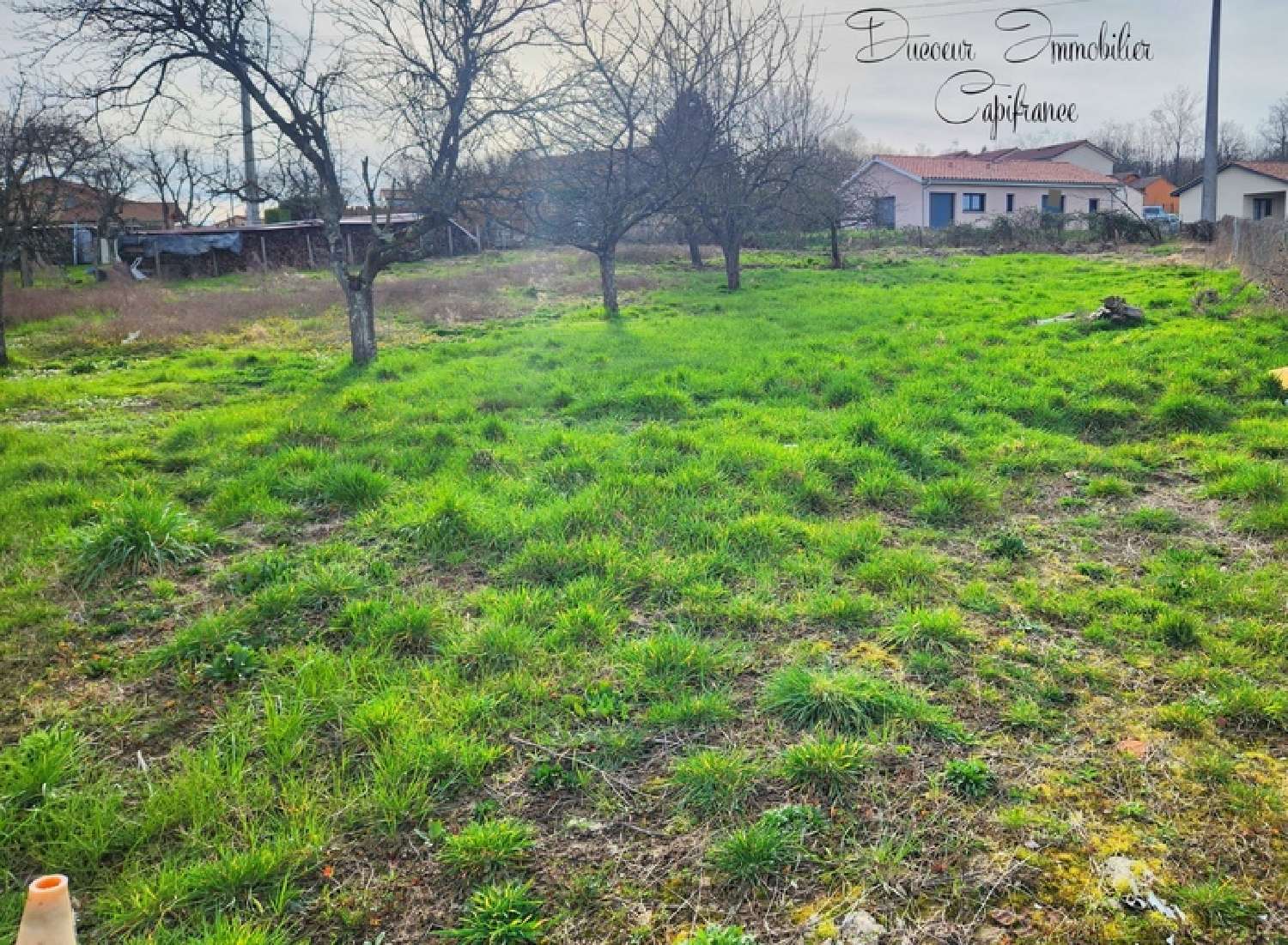  for sale terrain Laizé Saône-et-Loire 2