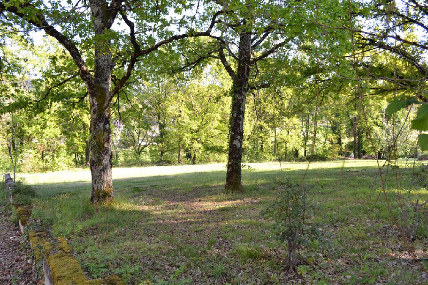  for sale terrain Larche Corrèze 1