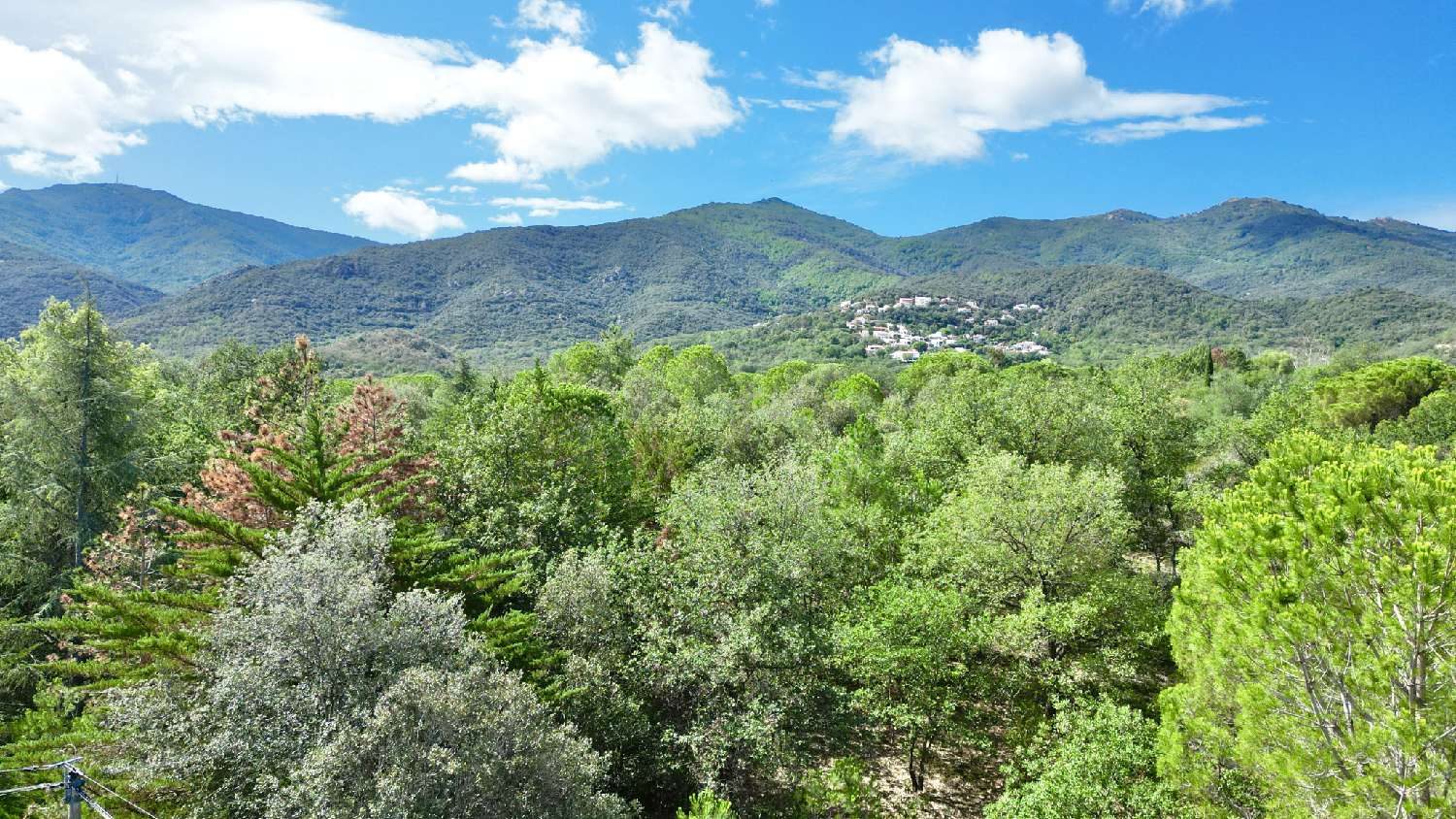kaufen Grundstück Laroque-des-Albères Pyrénées-Orientales 1