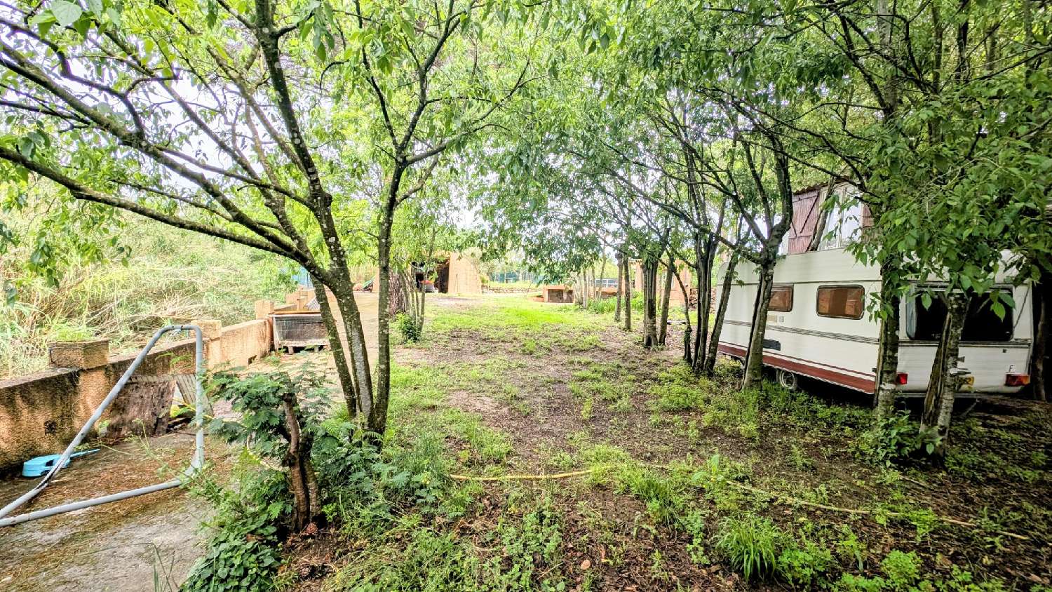  à vendre terrain Laroque-des-Albères Pyrénées-Orientales 5