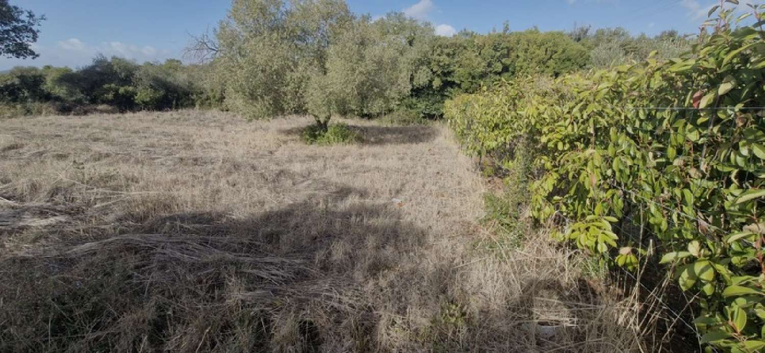 te koop terrein Laurens Hérault 4