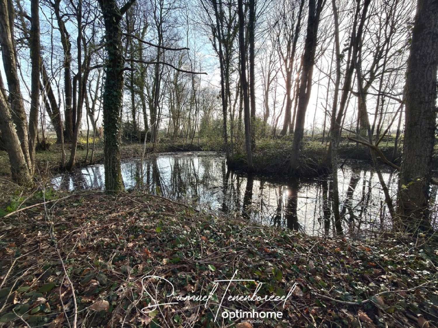  kaufen Grundstück Le Theil-en-Auge Calvados 2