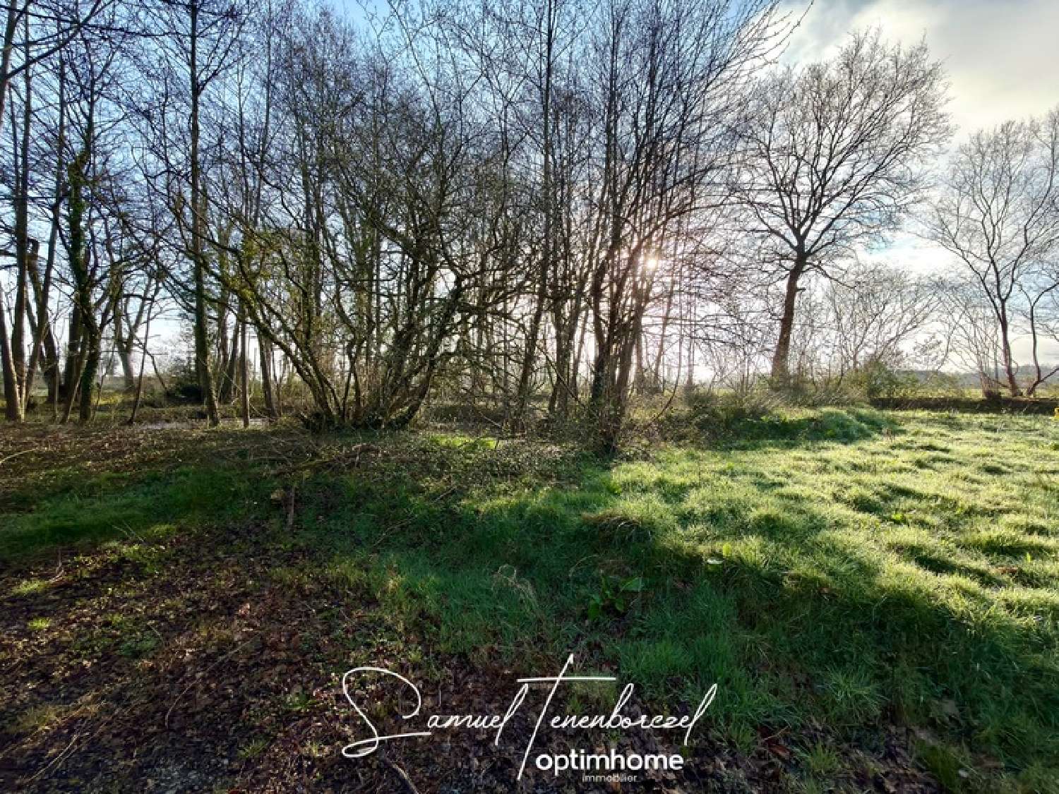  kaufen Grundstück Le Theil-en-Auge Calvados 3