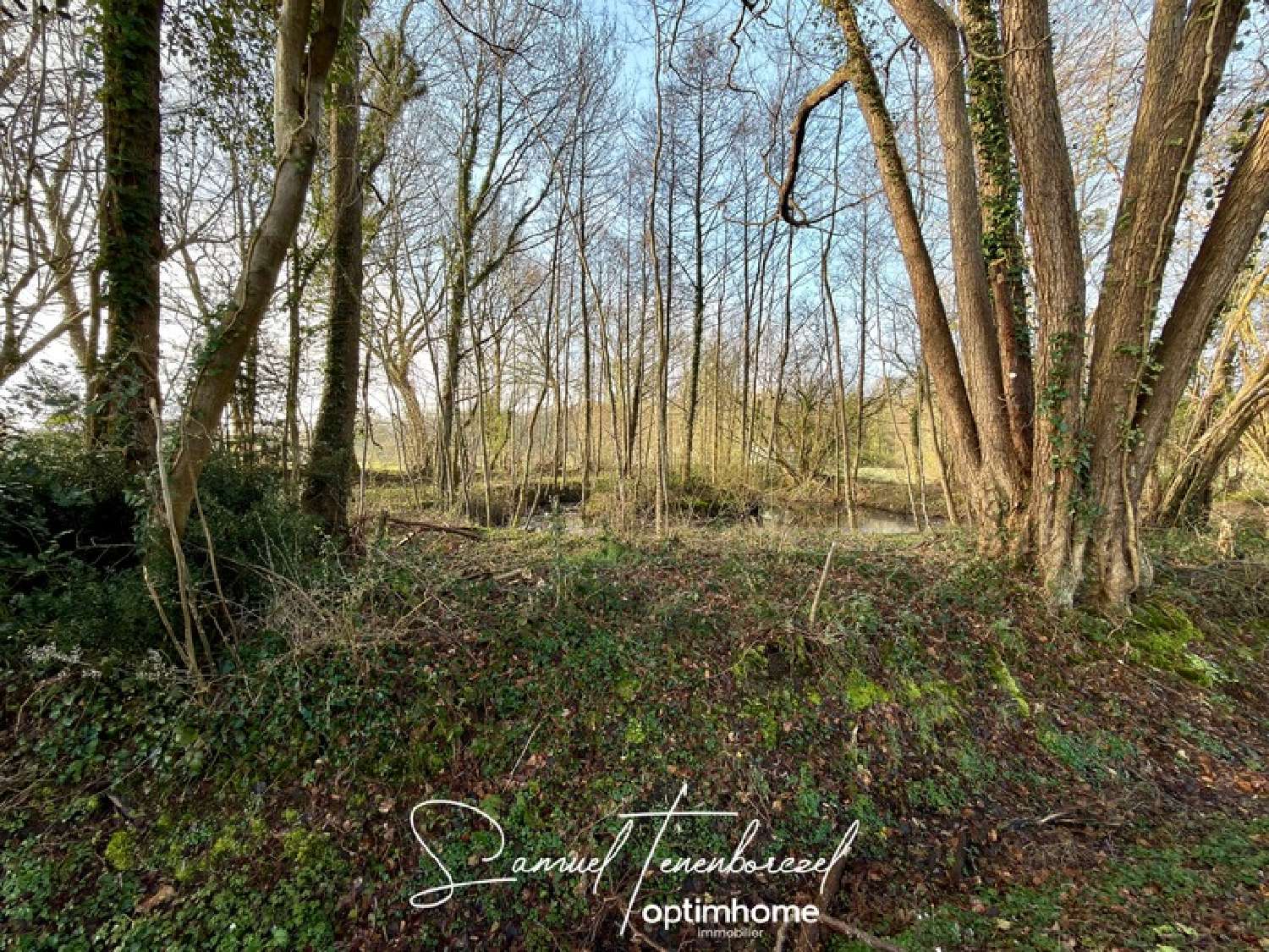  kaufen Grundstück Le Theil-en-Auge Calvados 4