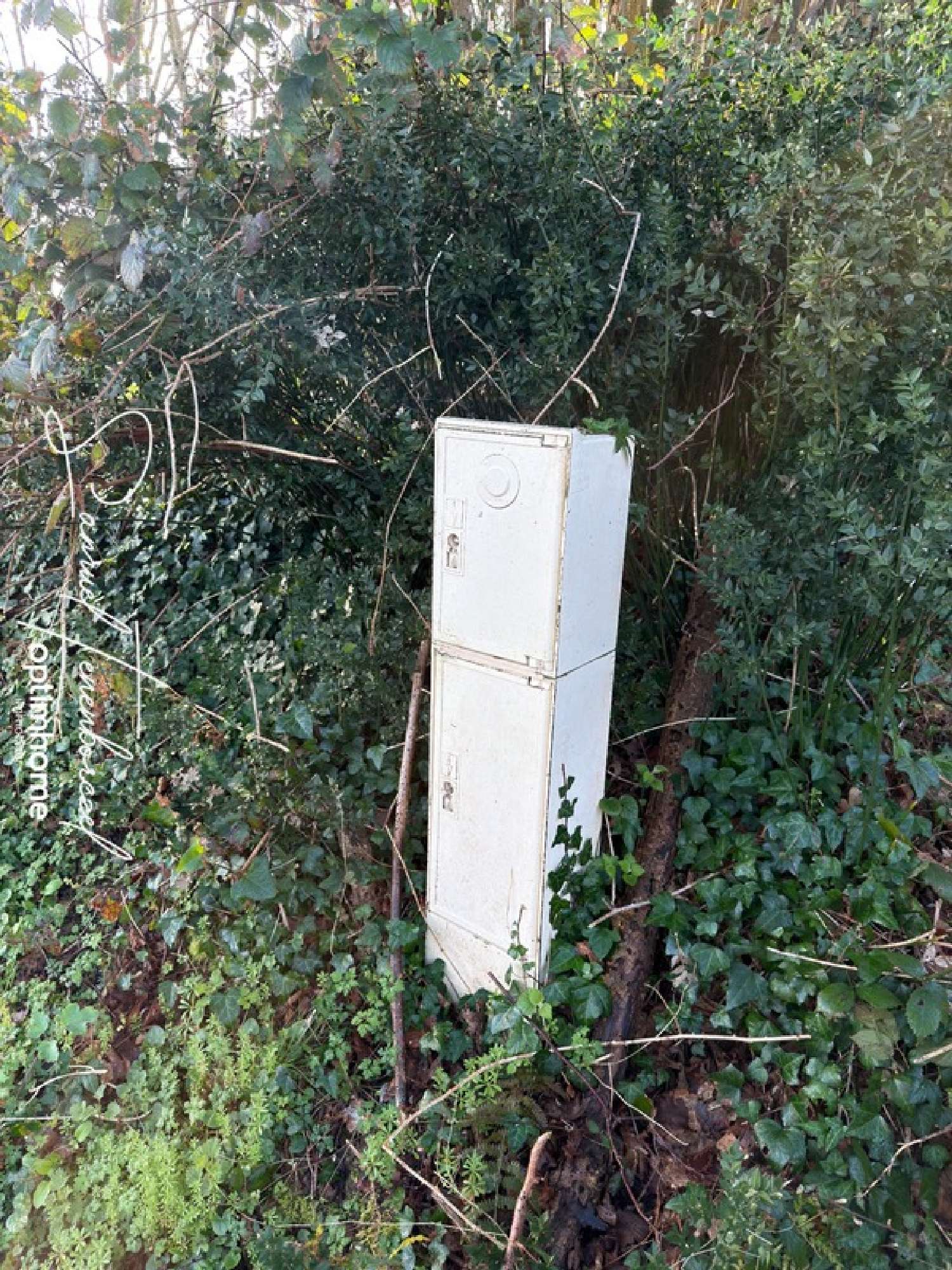  kaufen Grundstück Le Theil-en-Auge Calvados 5