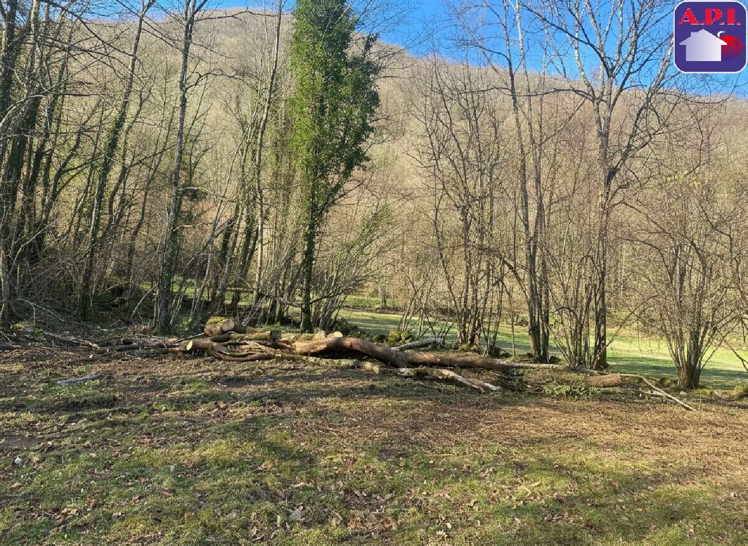  for sale terrain Les Bordes-sur-Lez Ariège 3