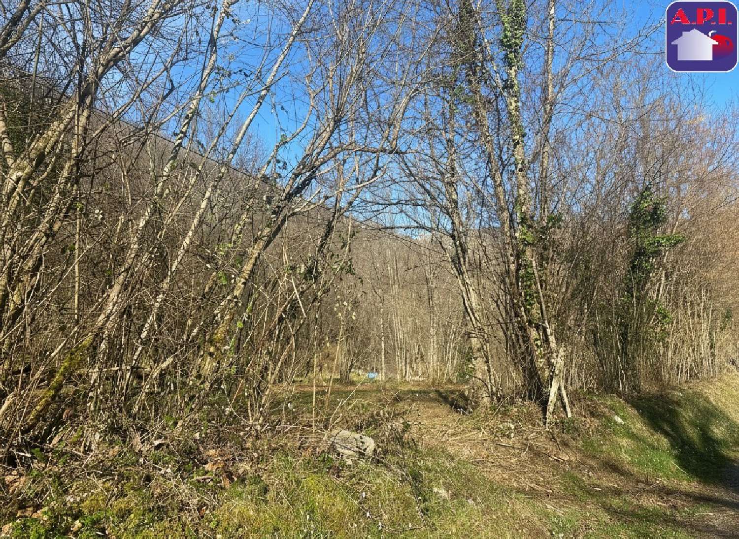  for sale terrain Les Bordes-sur-Lez Ariège 4