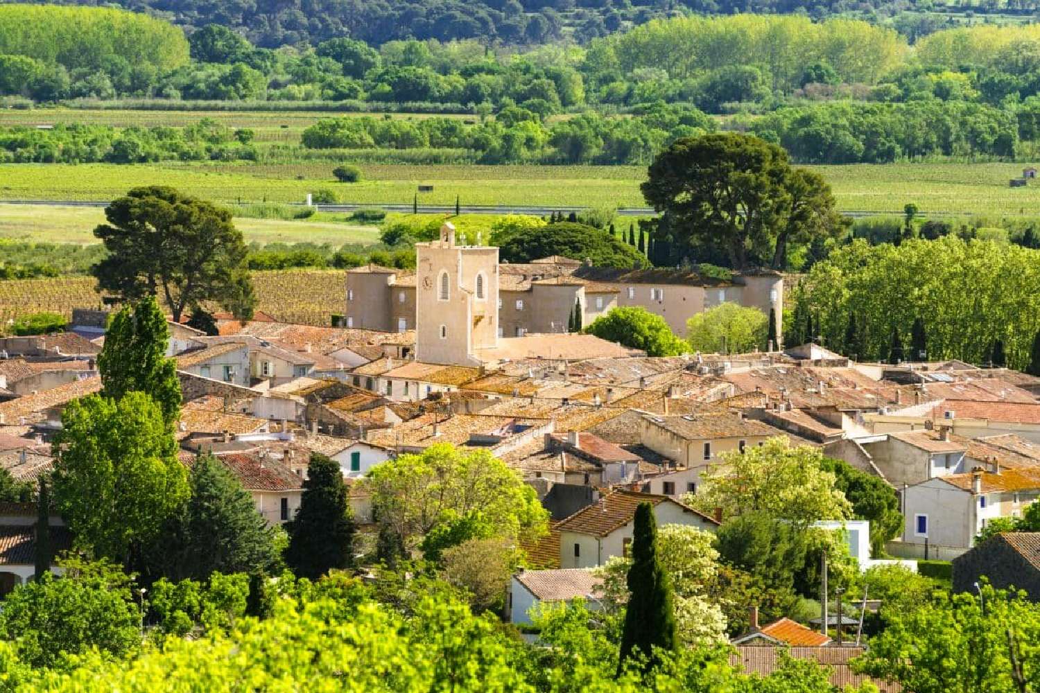  kaufen Grundstück Lézignan-la-Cèbe Hérault 5