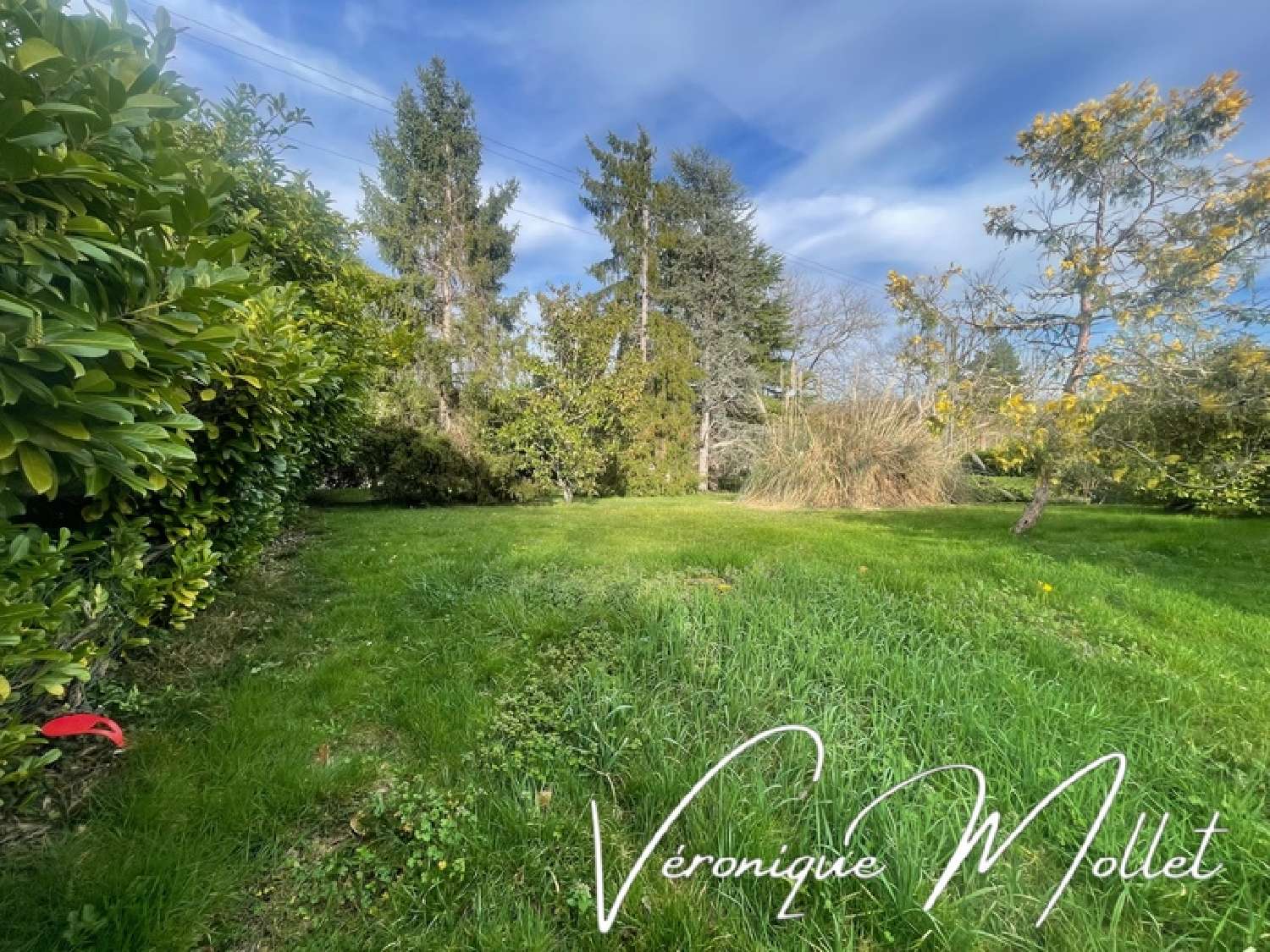  for sale terrain Lignan-de-Bordeaux Gironde 1