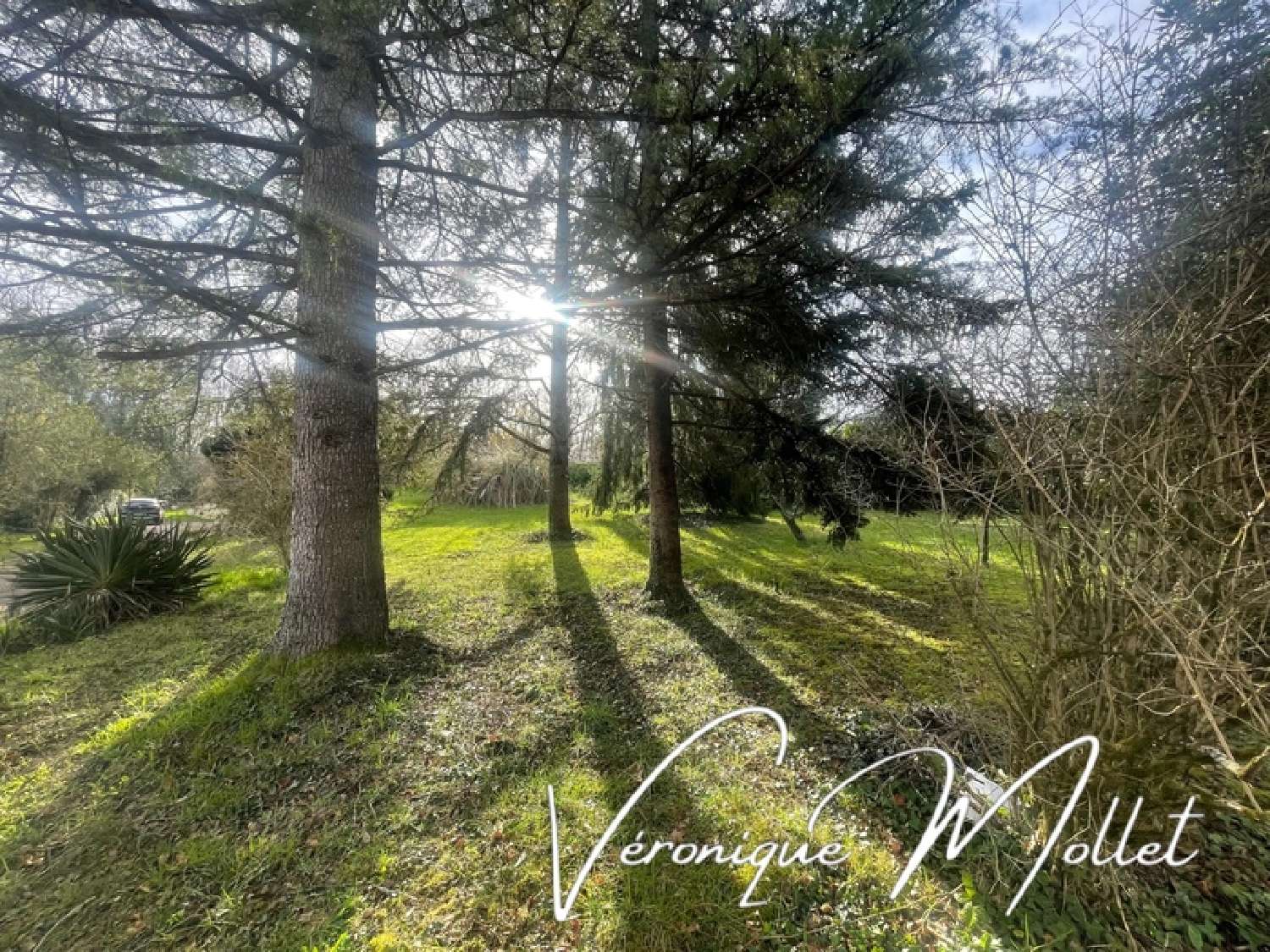  for sale terrain Lignan-de-Bordeaux Gironde 2