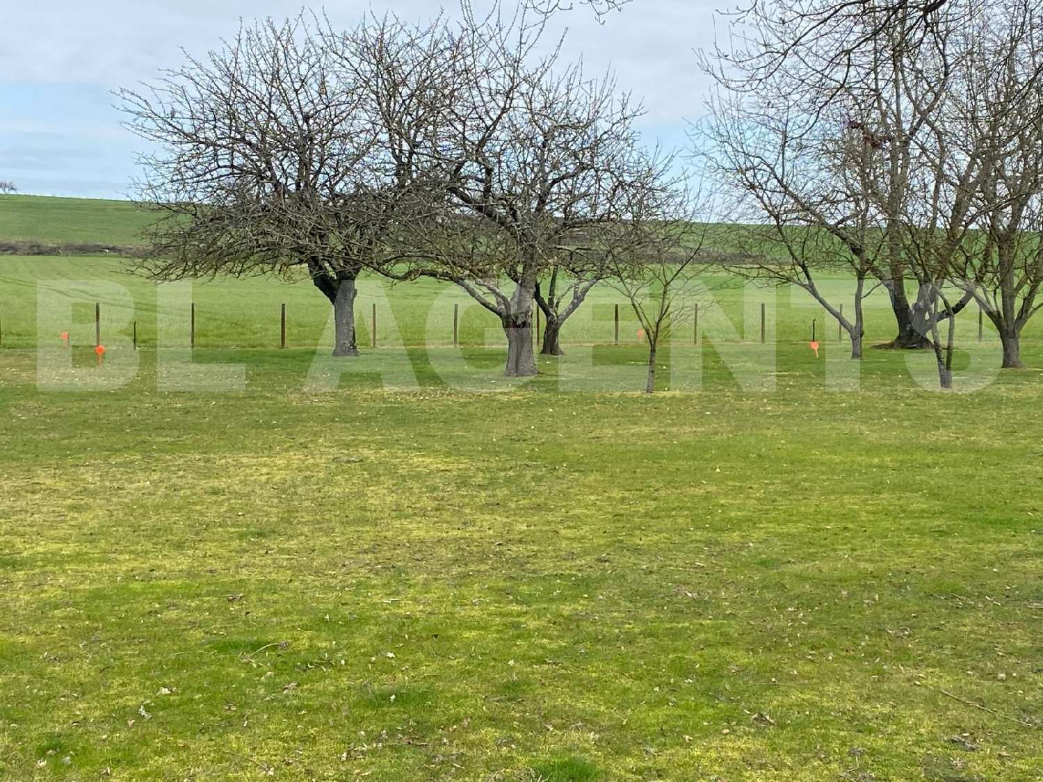  te koop terrein Luché-Pringé Sarthe 1