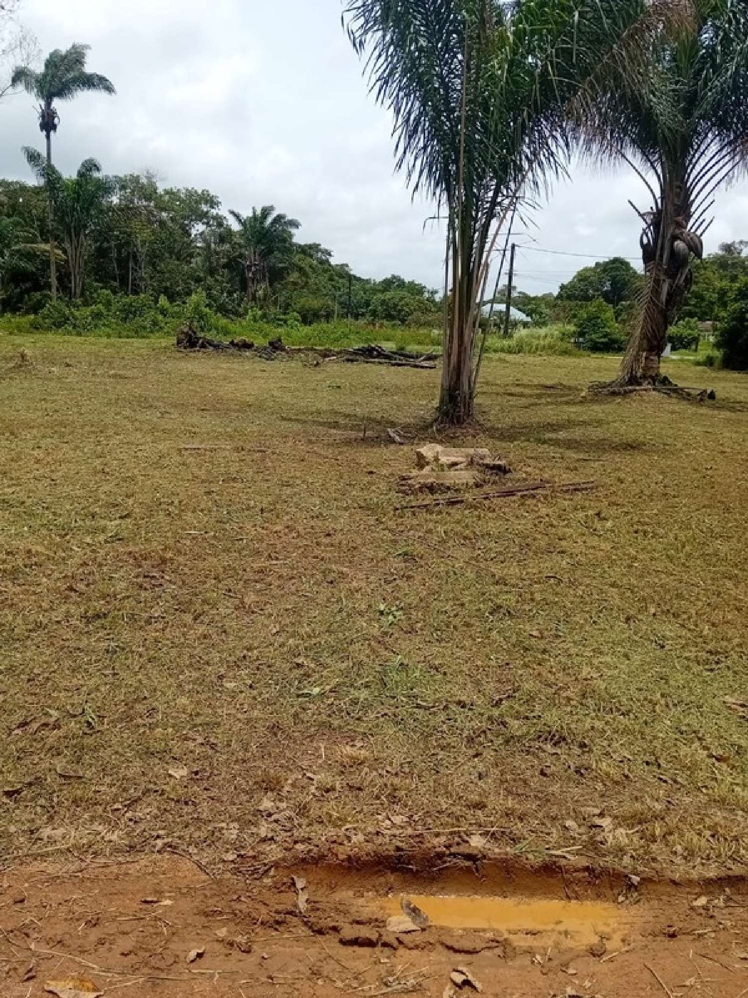  te koop terrein Macouria Guyane 1