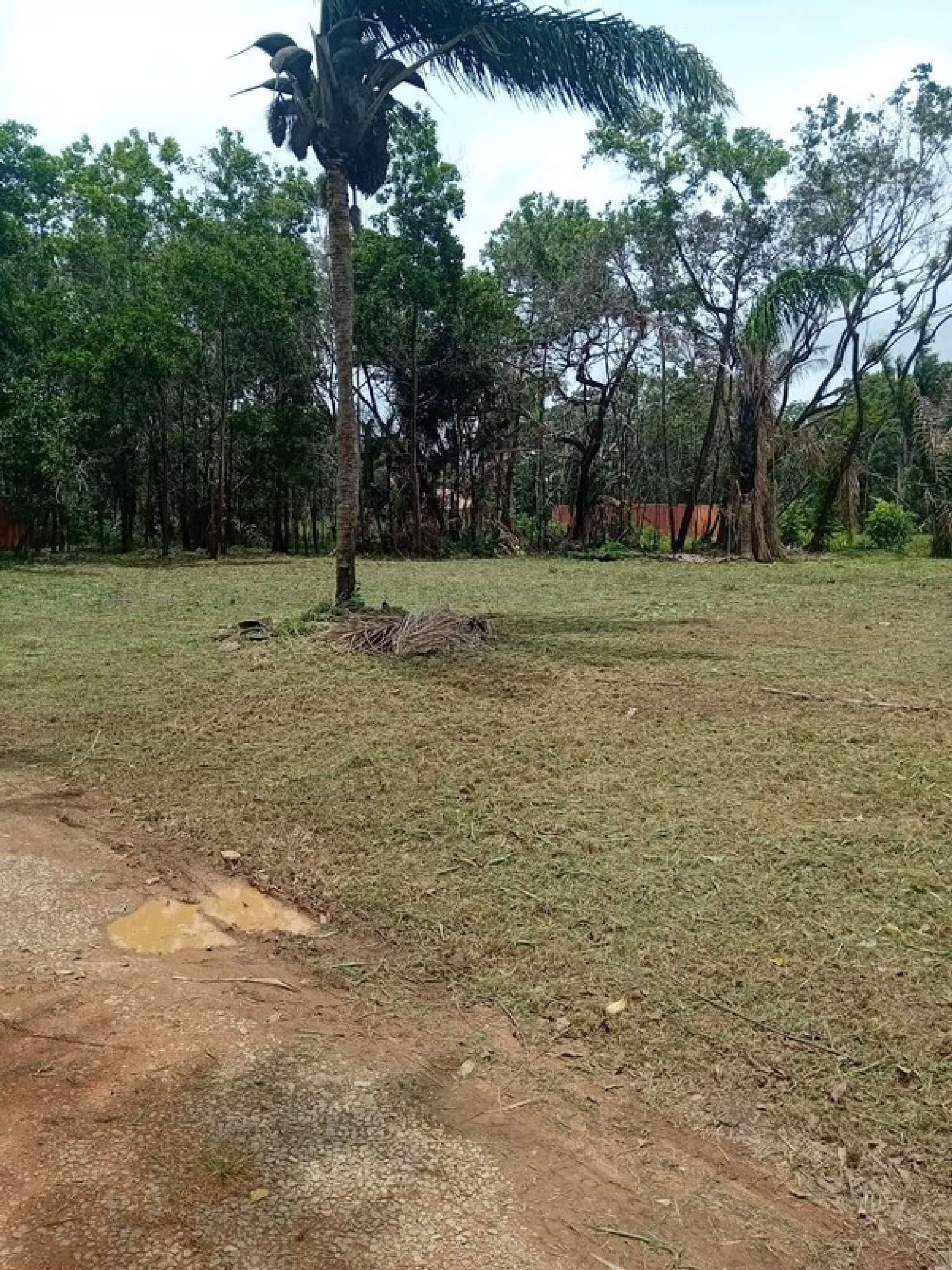  te koop terrein Macouria Guyane 2