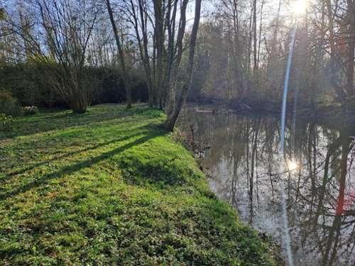 Macquigny Aisne terrain foto 7291240