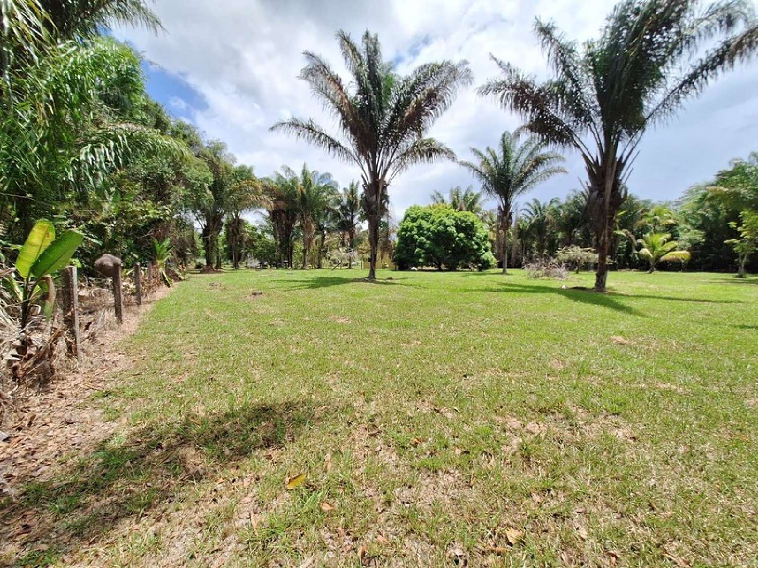  kaufen Grundstück Mana Guyane 3