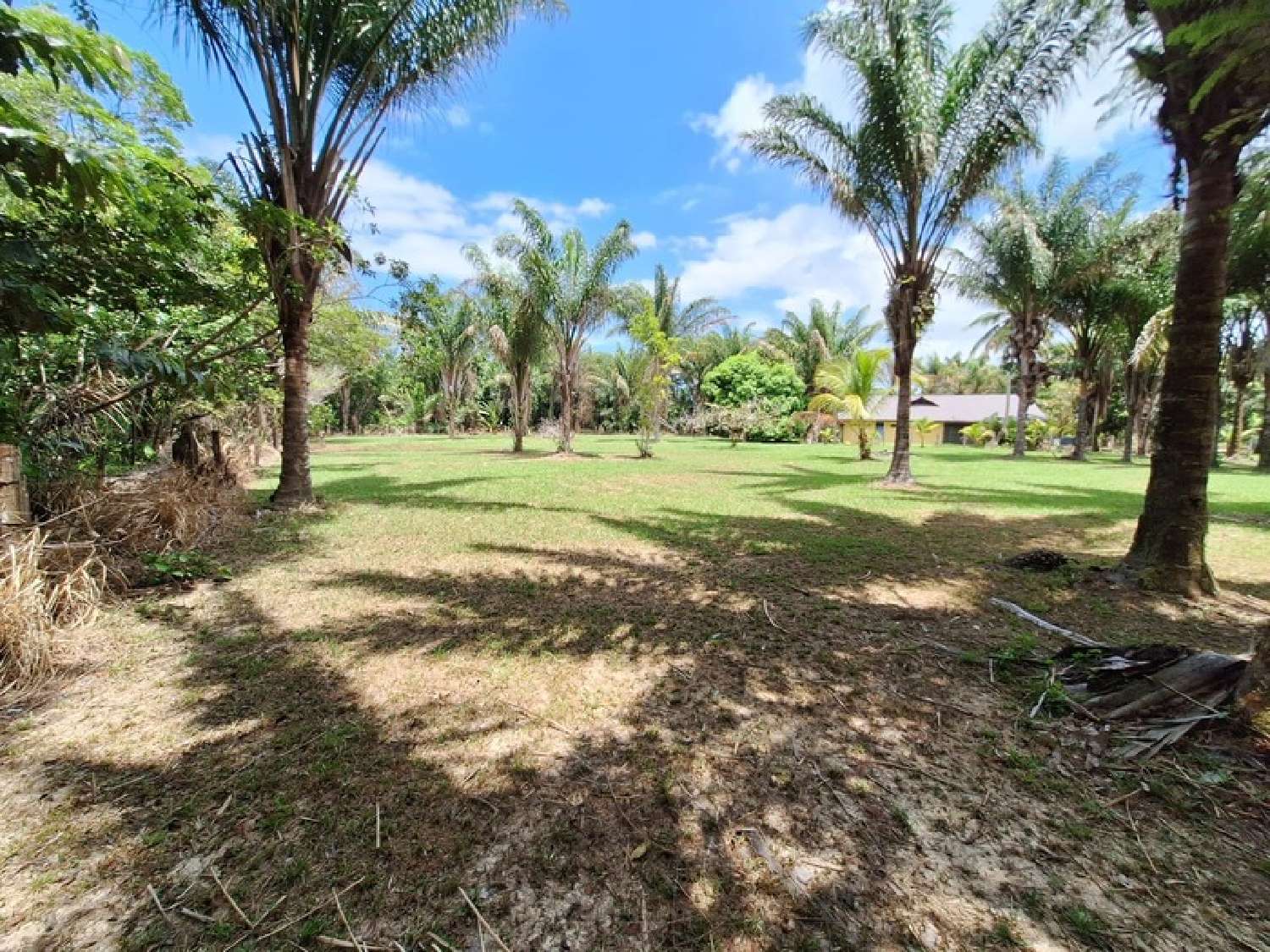  kaufen Grundstück Mana Guyane 4