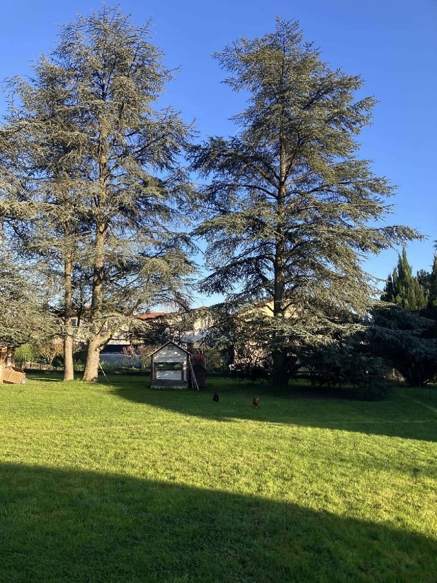  en venta terreno Marcy-l'Étoile Rhône 7