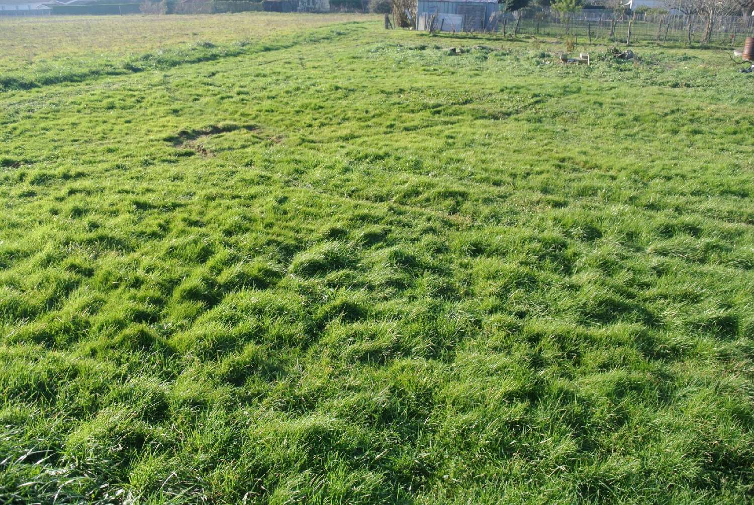 kaufen Grundstück Marmande Lot-et-Garonne 1
