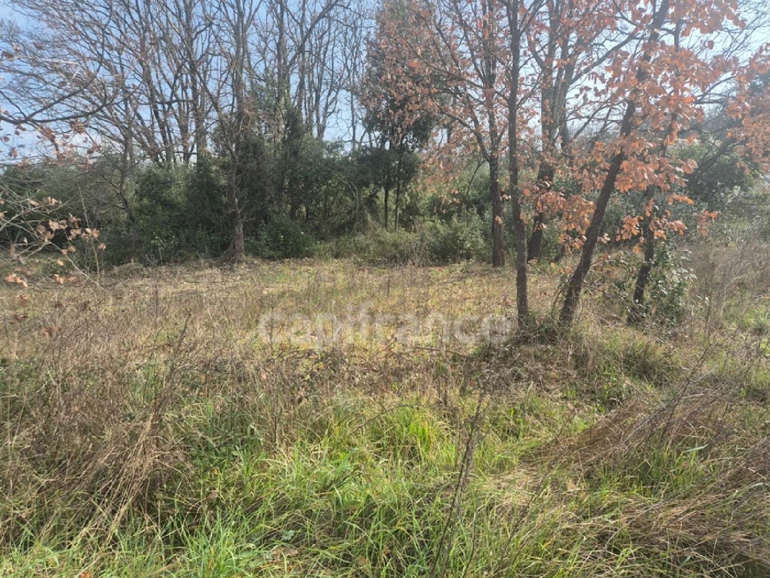  for sale terrain Martignargues Gard 4