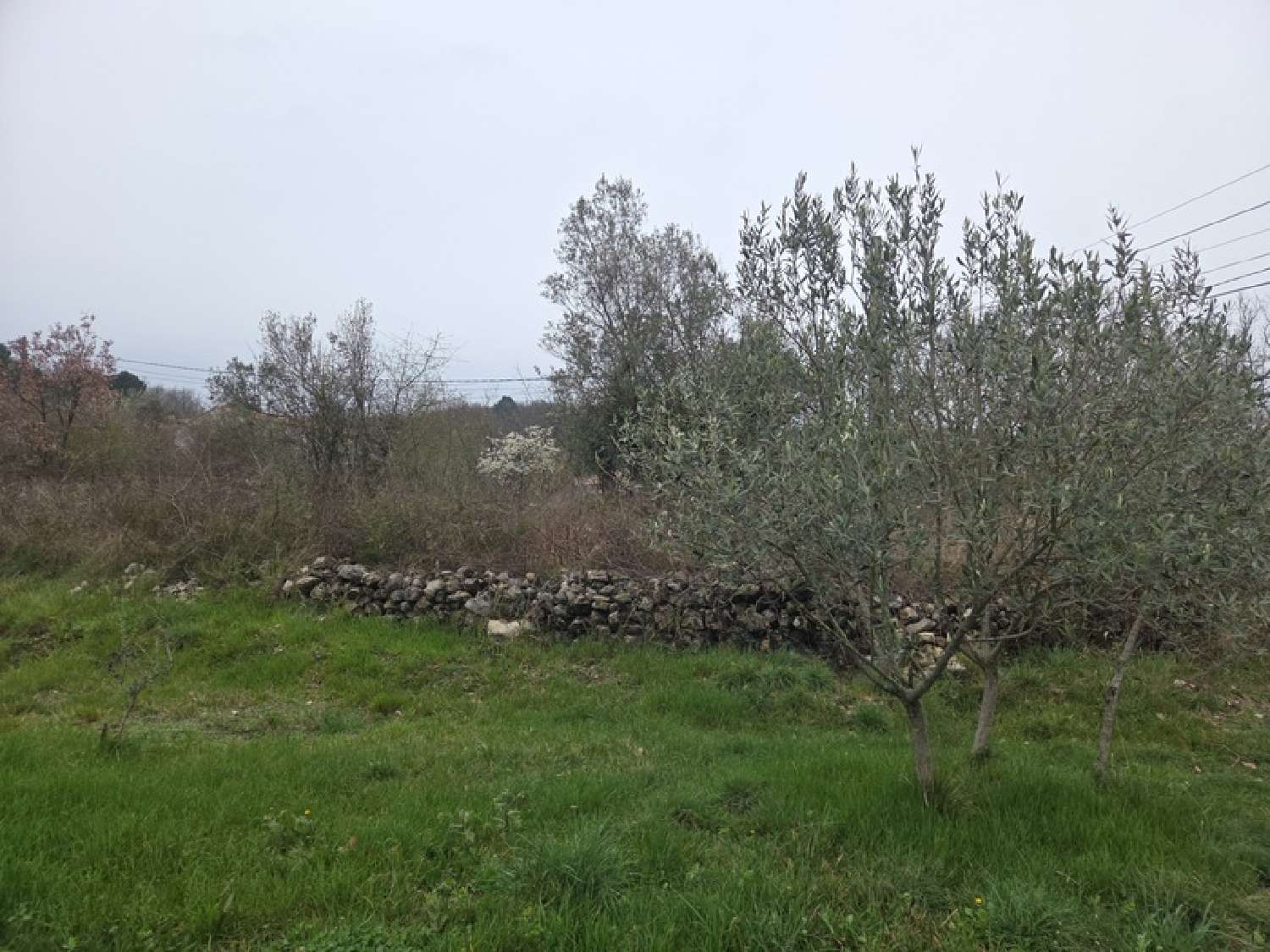  kaufen Grundstück Meyrannes Gard 2