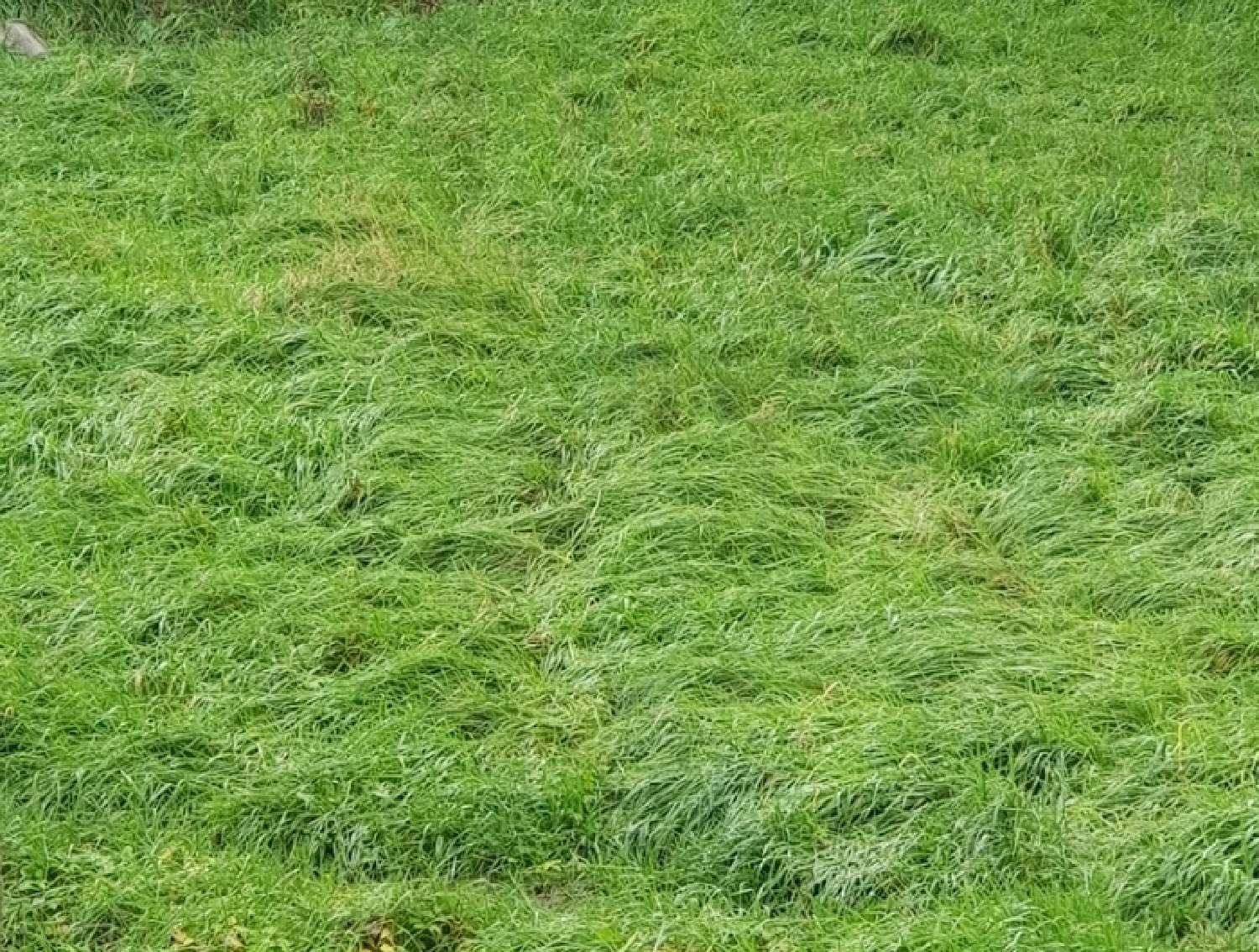  for sale terrain Mirecourt Vosges 1