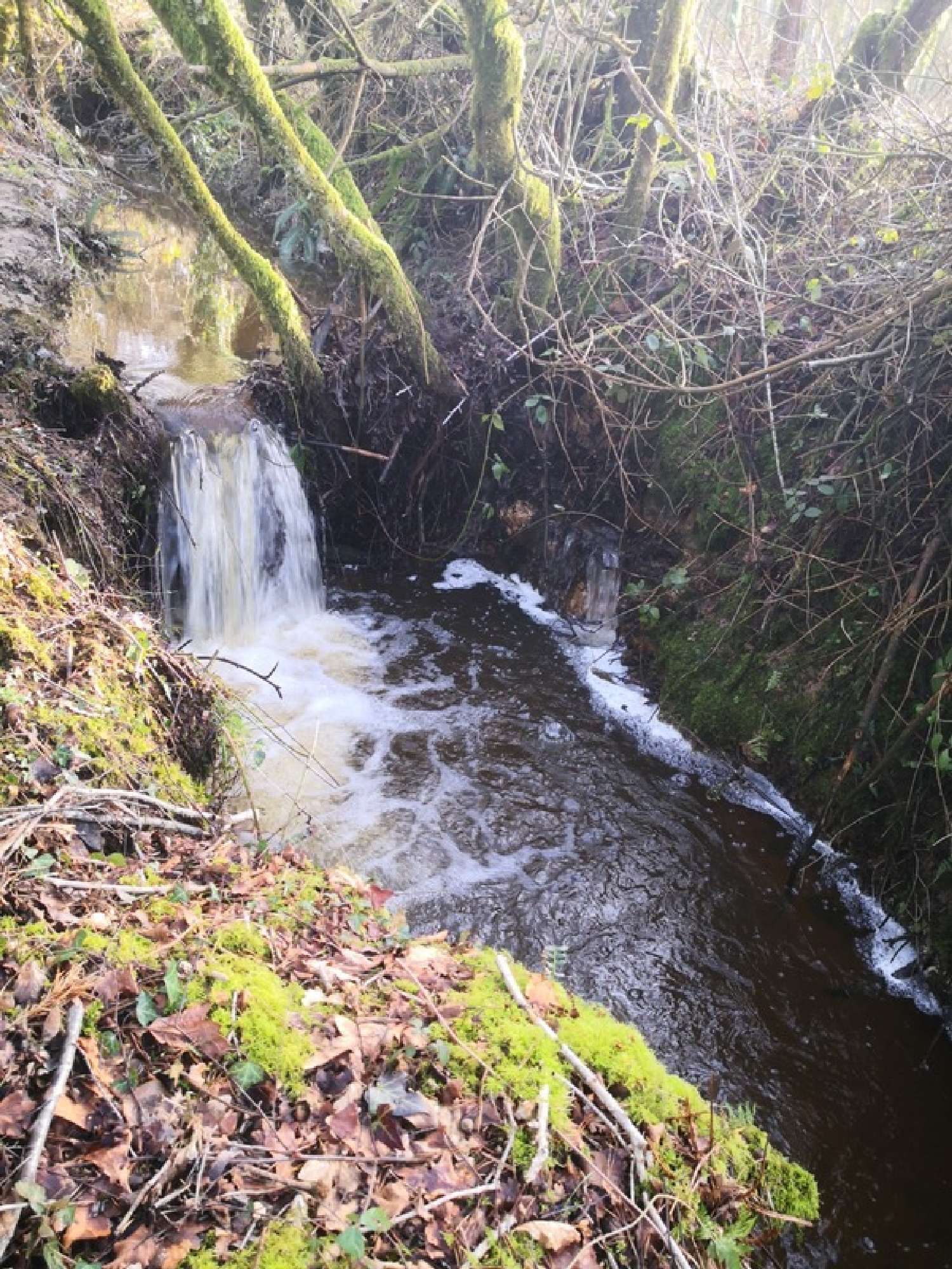  te koop terrein Moncontour Côtes-d'Armor 1