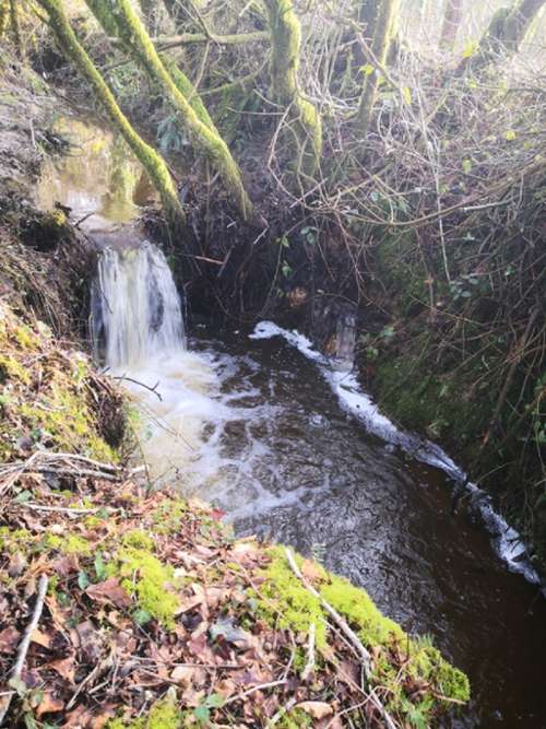 Moncontour Côtes-d'Armor Grundstück Bild 7278002