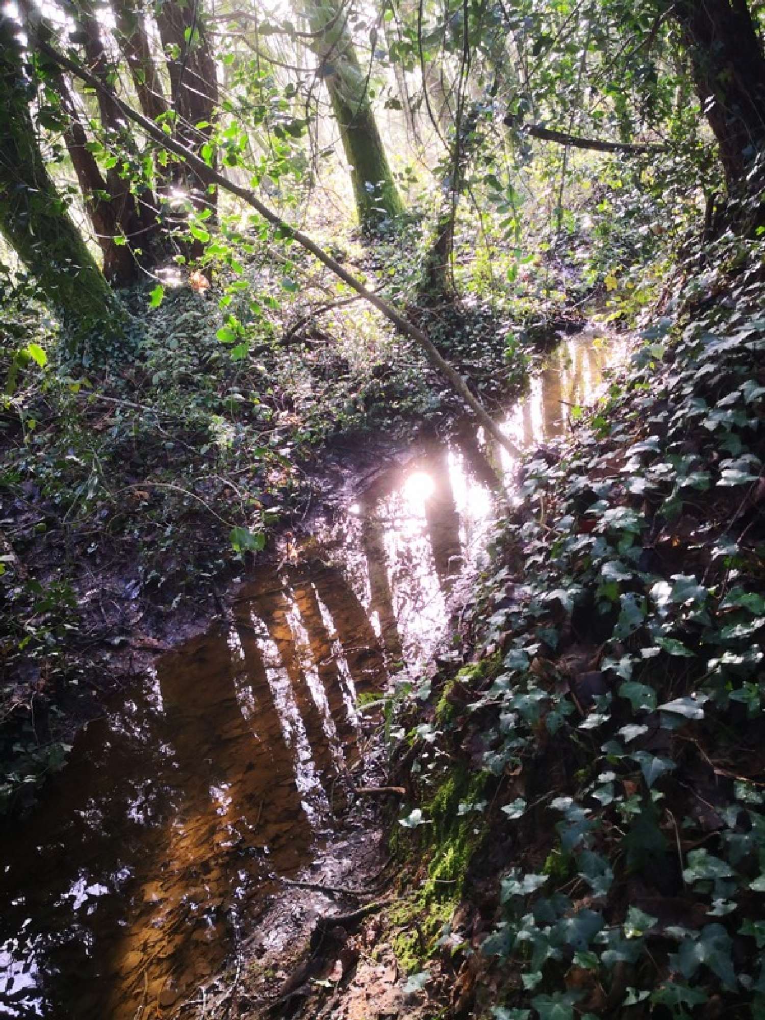  te koop terrein Moncontour Côtes-d'Armor 2