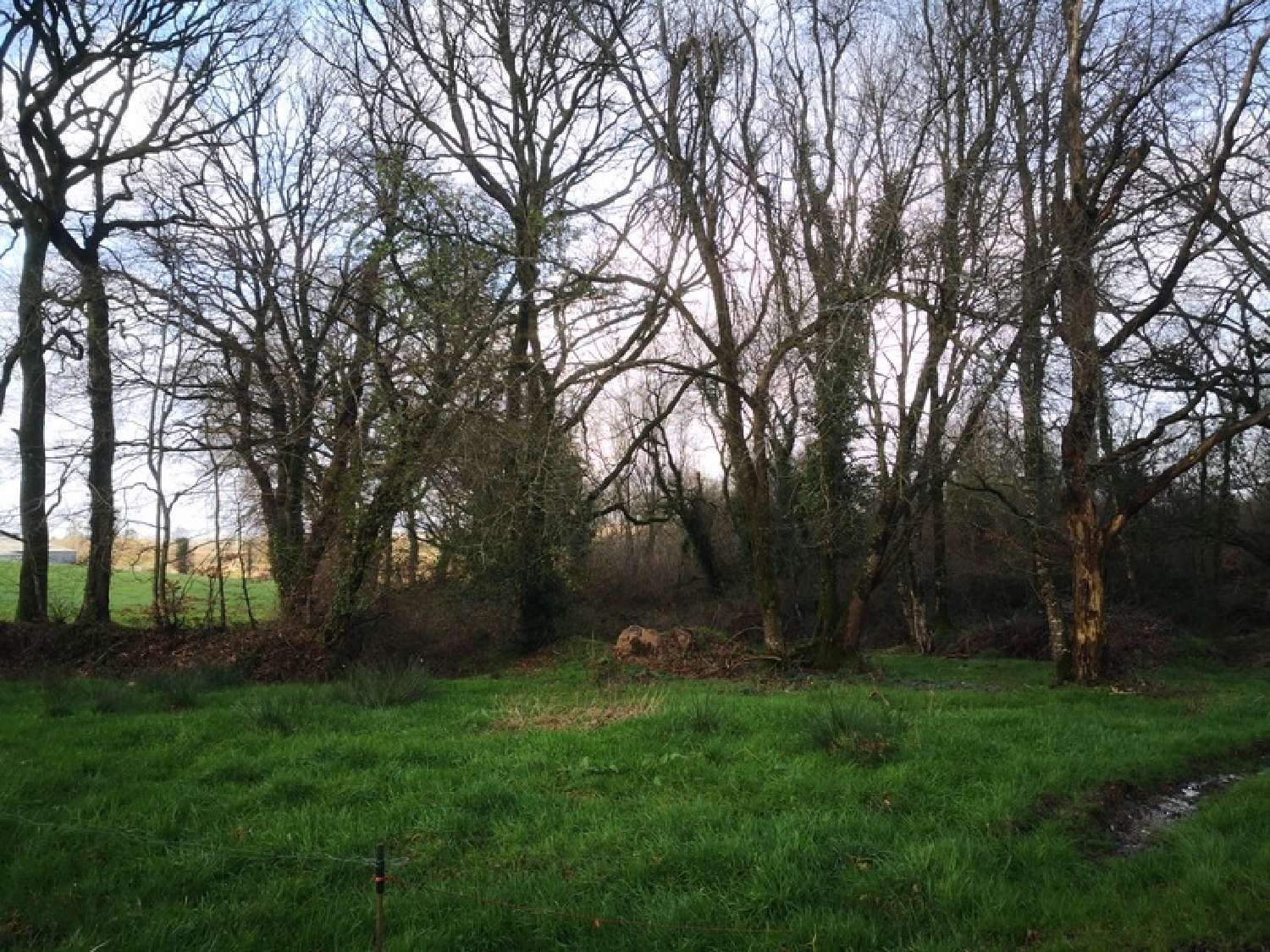  te koop terrein Moncontour Côtes-d'Armor 3