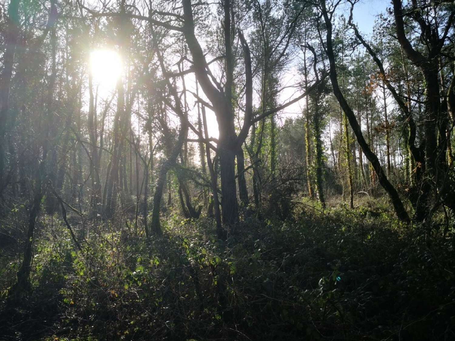  te koop terrein Moncontour Côtes-d'Armor 4