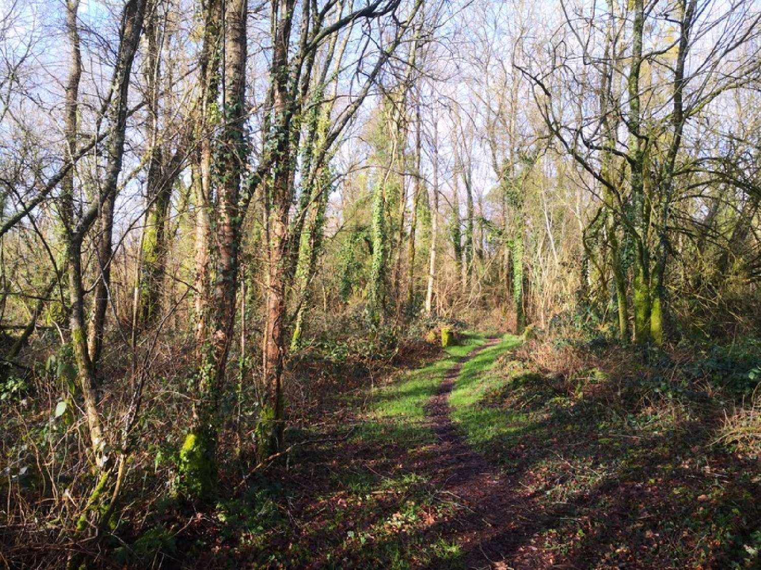  te koop terrein Moncontour Côtes-d'Armor 5