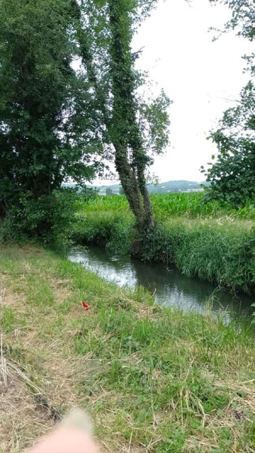 Mondavezan Haute-Garonne terrain foto 7297504