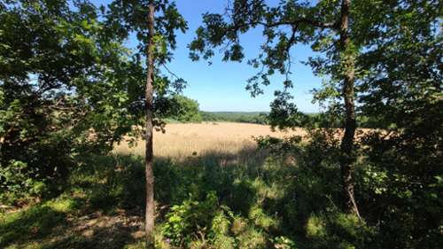 Montaigu-de-Quercy Tarn-et-Garonne terreno foto