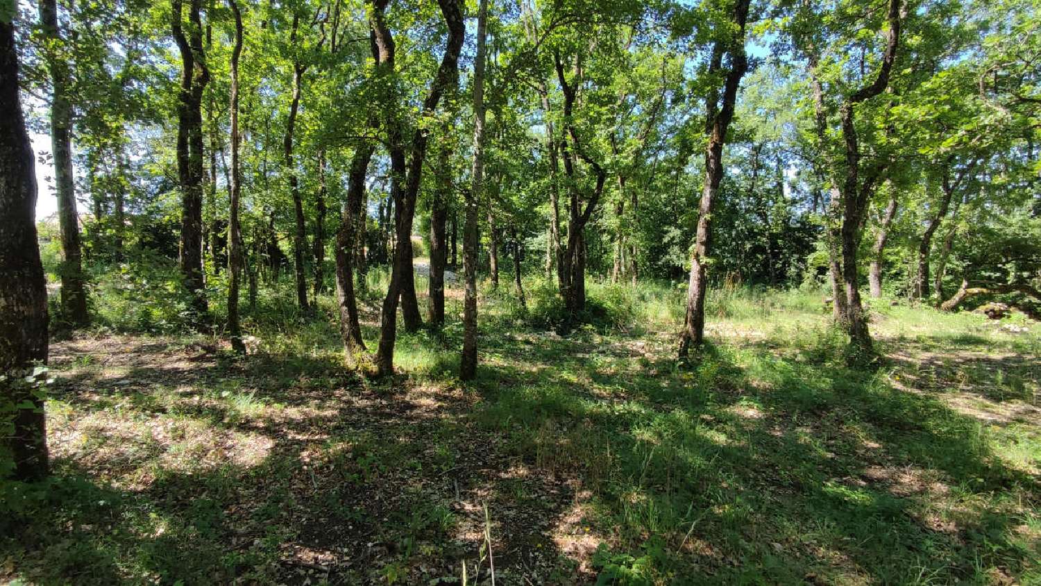  en venta terreno Montaigu-de-Quercy Tarn-et-Garonne 2