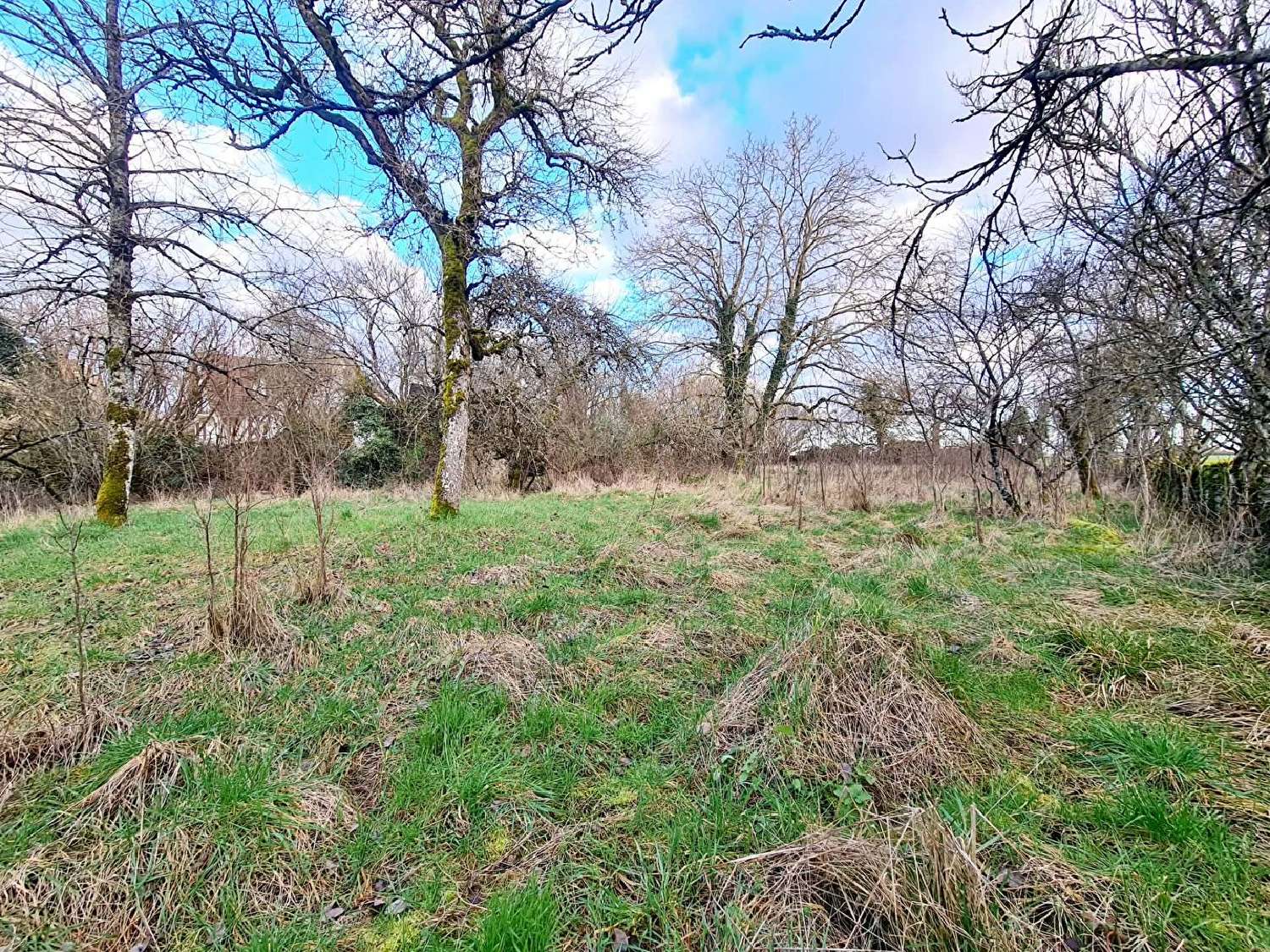  te koop terrein Montsaon Haute-Marne 1