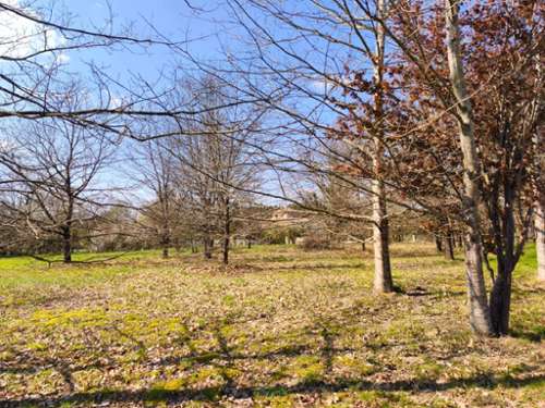 Nègrepelisse Tarn-et-Garonne terrain foto 7297017