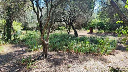 Nîmes Gard terrein foto 7288008