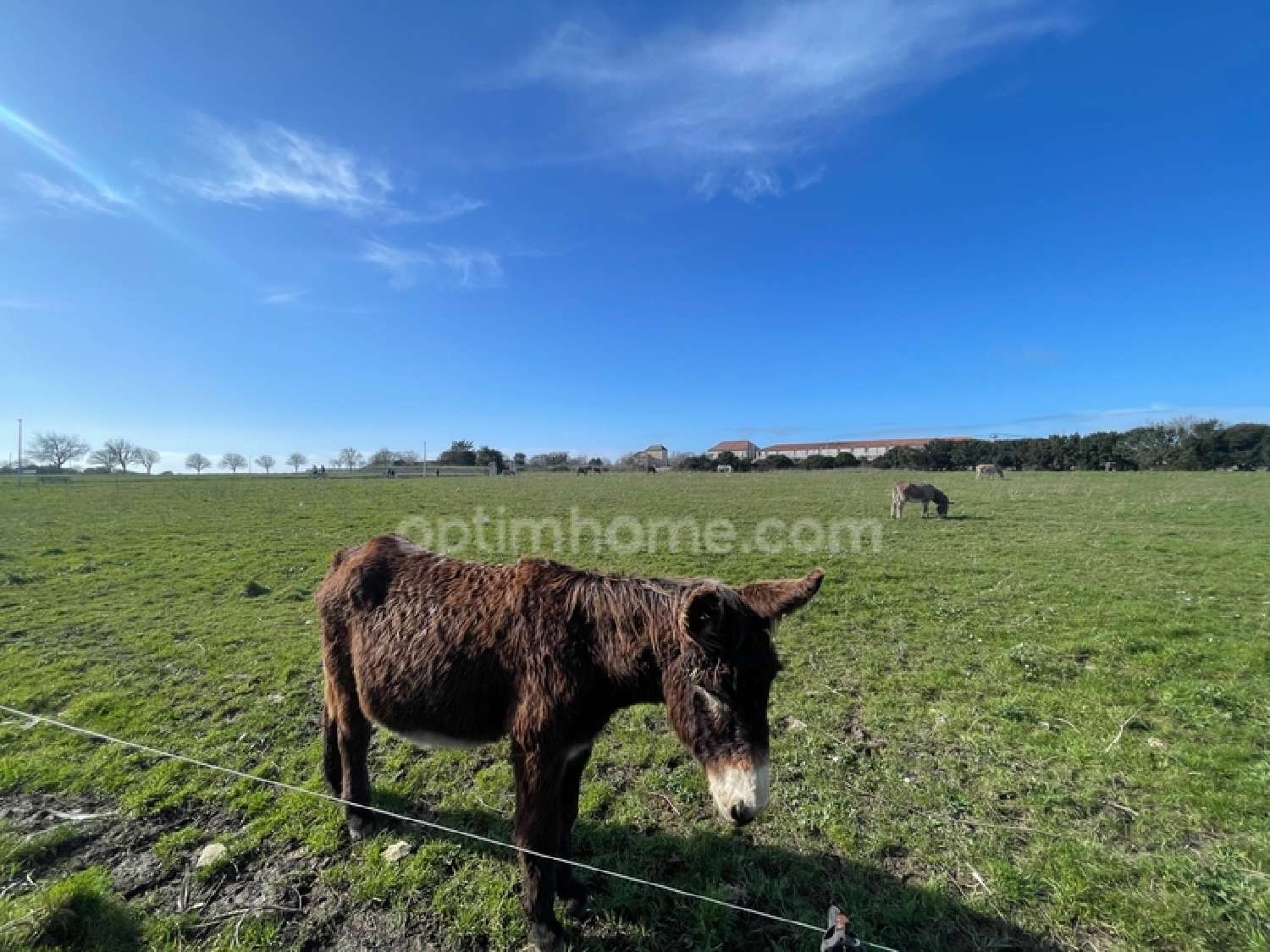  kaufen Grundstück Niort Deux-Sèvres 1