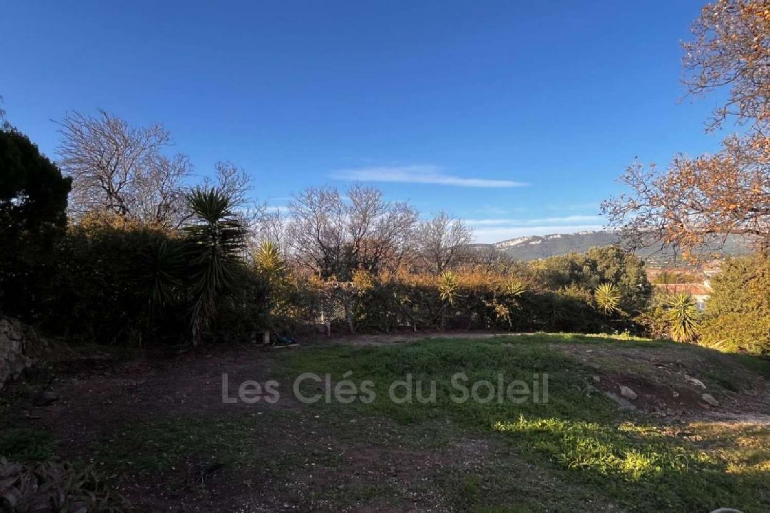 for sale terrain Ollioules Var 1