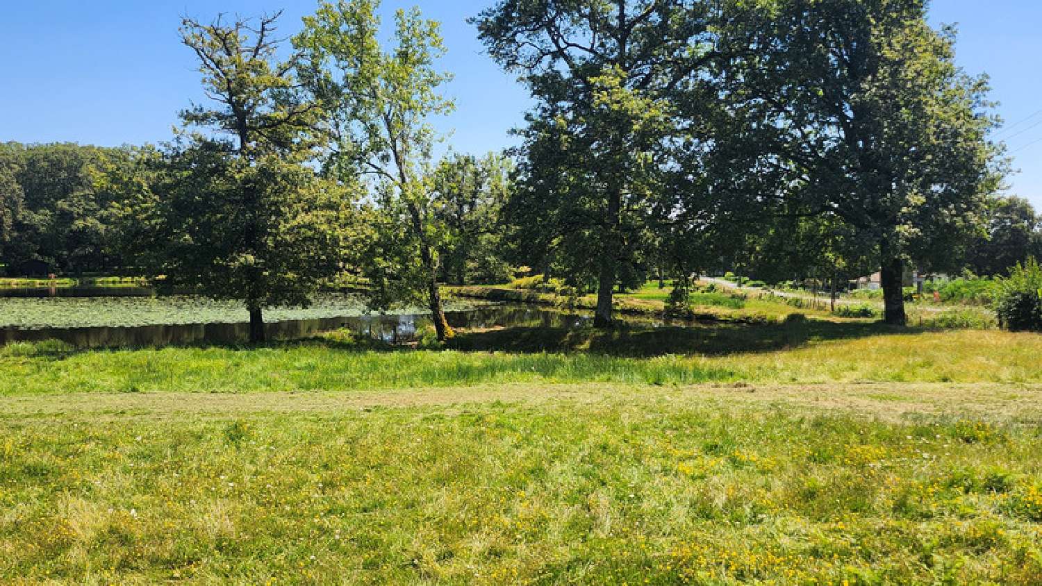  te koop terrein Oradour-sur-Glane Haute-Vienne 2